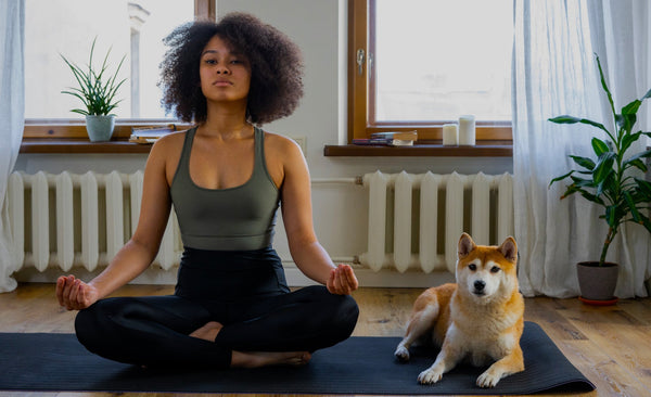 Why is better to start Yoga and Meditation as a hobby? - Zayra Mo