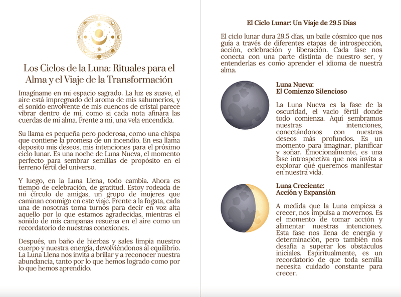 Soulful Luna Journal 2025 - Zayra Mo