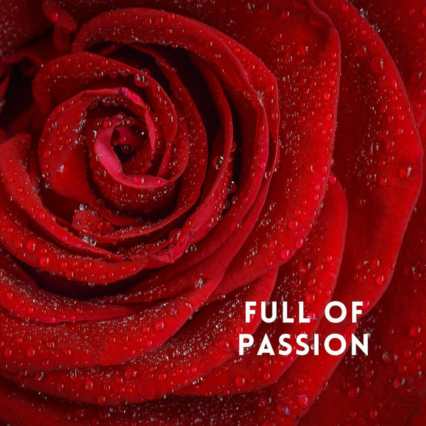 Full of Passion - Zayra Mo