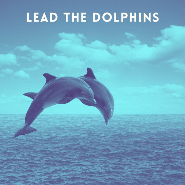 Lead The Dolphins - Zayra Mo