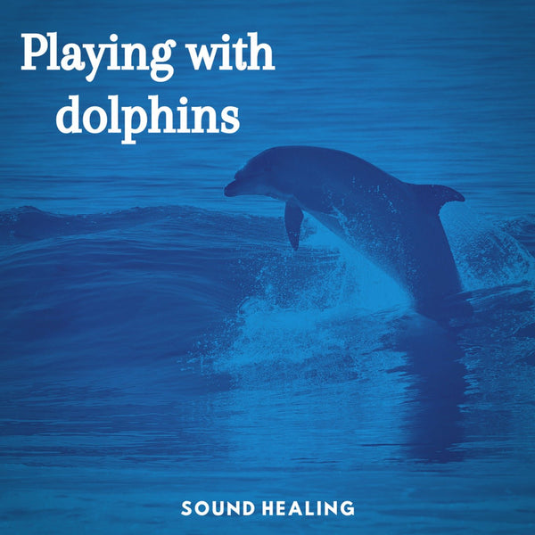Playing with Dolphins - Zayra Mo