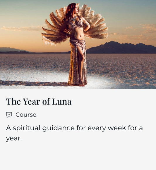 The Year of Luna - Zayra Mo